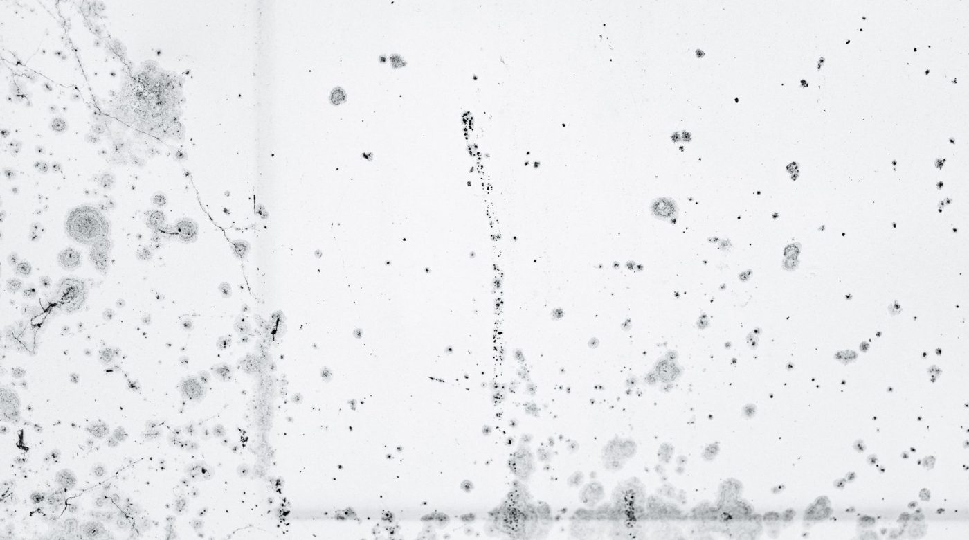 Comment enlever la moisissure sur les murs sans les abîmer ?