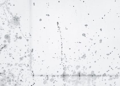 Comment enlever la moisissure sur les murs sans les abîmer ?