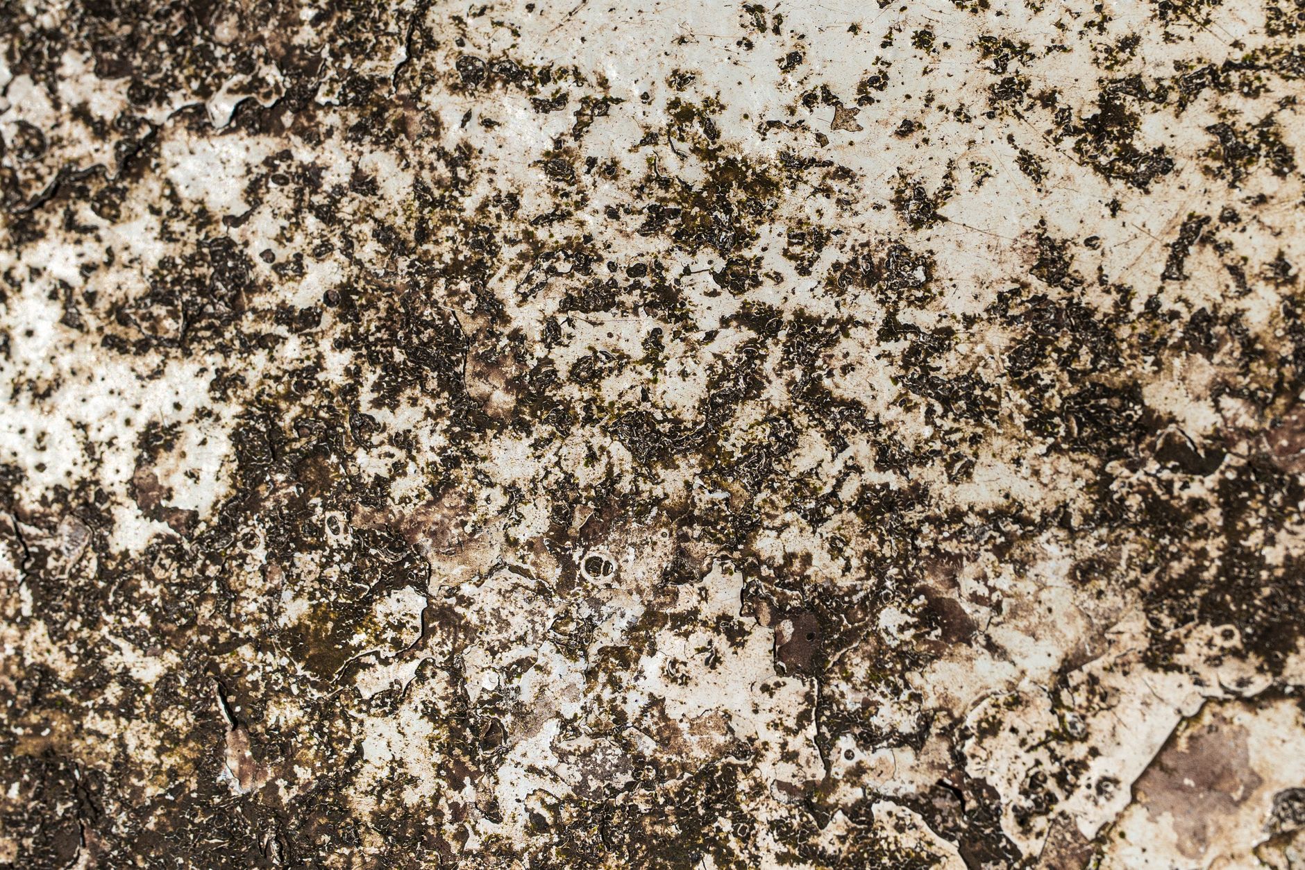 Surface métallique rouillée, source classique de taches