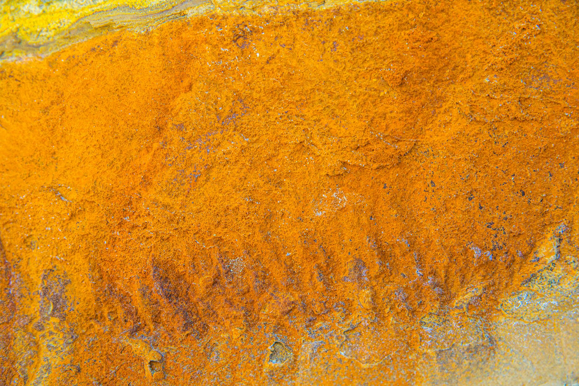 Texture orange de rouille vue de près